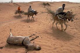 darfur