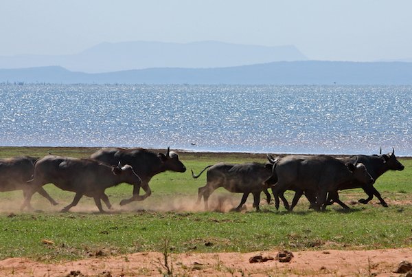 zimbabwe-kariba-022