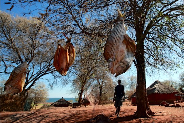 zimbabwe-kariba-050