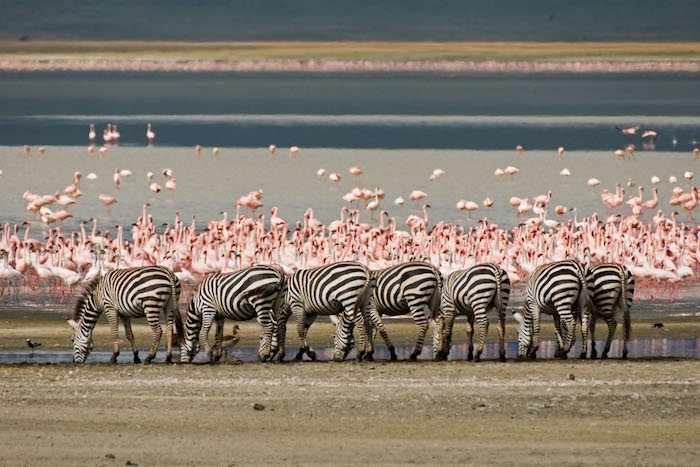 Tanzania: l’eden di Ngorongoro