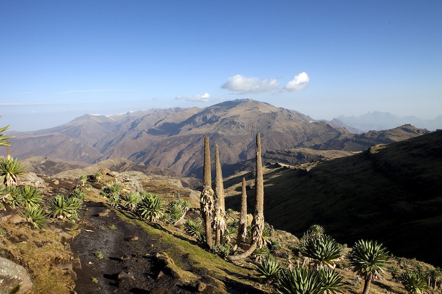 Etiopia: trekking sull’altopiano