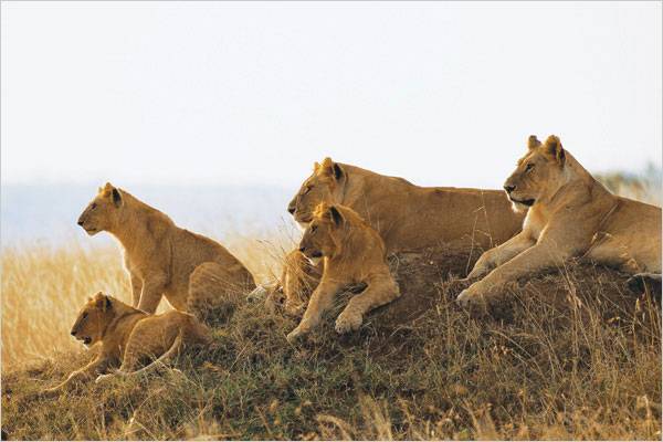 tanzania sud