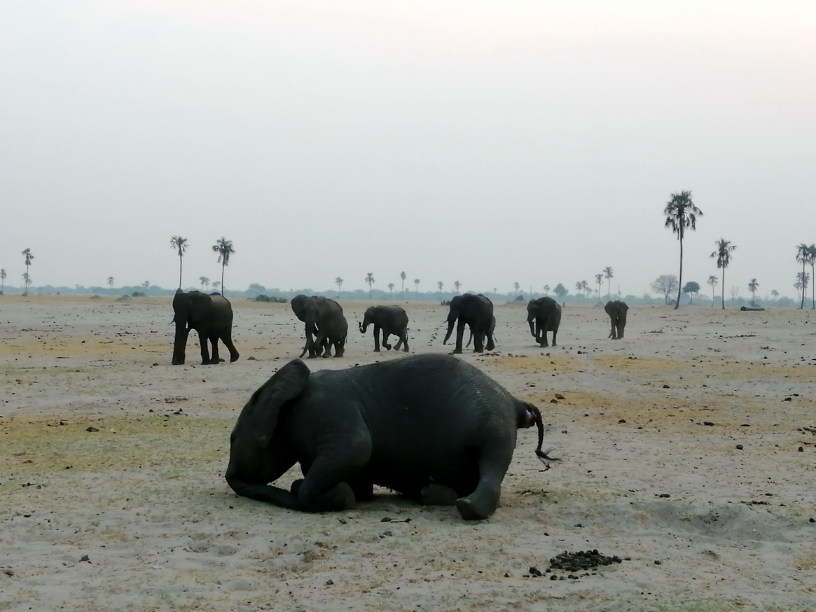 ZIMBABWE5_resize